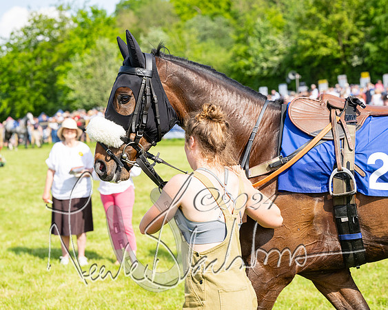 Race 5  - Maiden race 2m5F Div-1 (32 of 197)