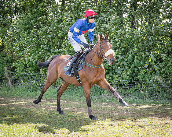 Race 2 - Winkworth conditions race 2m 4f (19 of 126)