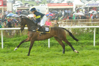 Old Berks at Lockinge PPORA novice and veteran riders race