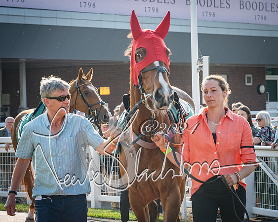 Race 3 - The Junior Jumpers open hunter's steeple chase 3m1f56y (18 of 156)