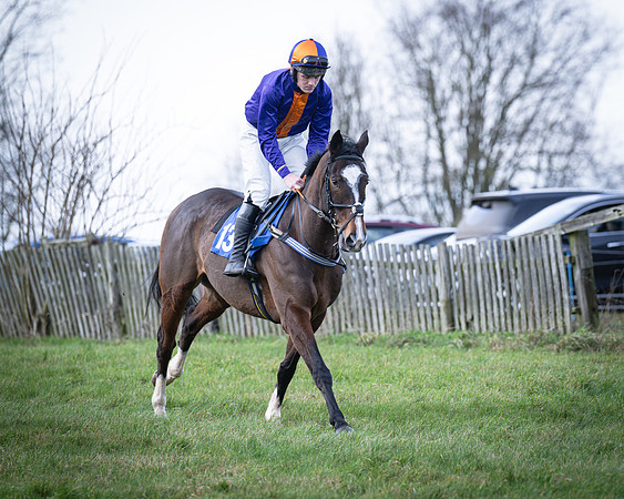 Race 2 - Maiden (4 of 145)