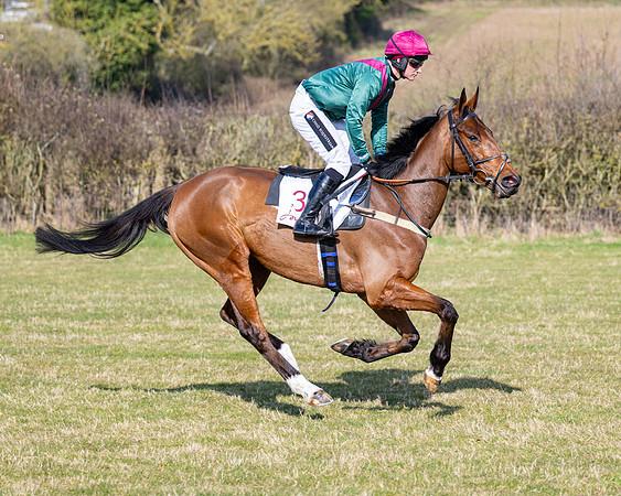 Race 3 - The Intermediate race (36 of 106)