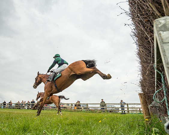 Race 2 - Jockey Club ROR veteran Horse (95 of 104)
