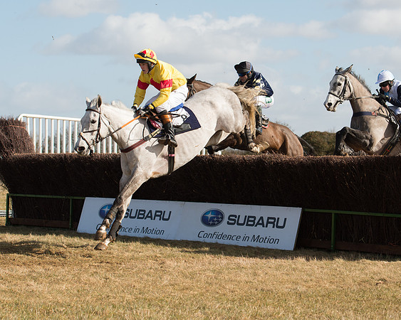 Race 1 - 4-5-6 Maiden (76 of 119).jpg