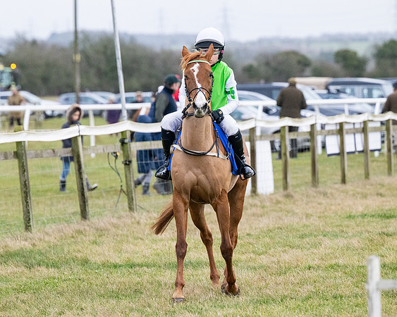 Pony Races (4 of 229)