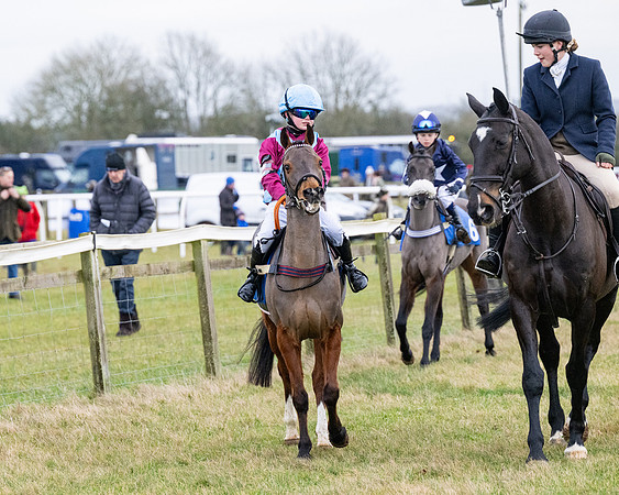 Pony Races (8 of 229)
