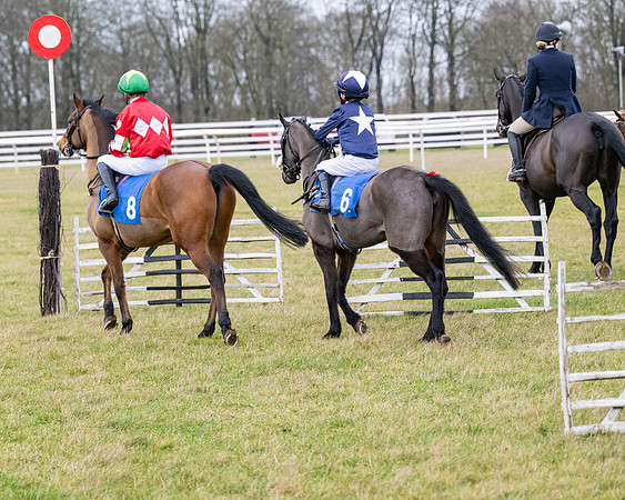 Pony Races (13 of 229)