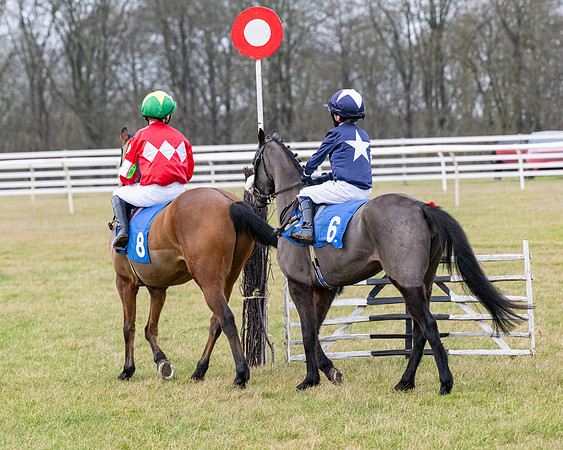 Pony Races (14 of 229)
