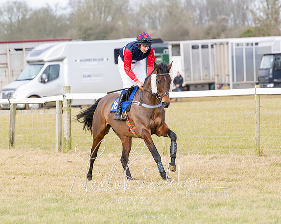 Race 2 - Restricted  (10 of 184)