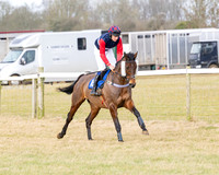 Race 2 - Restricted  (11 of 184)