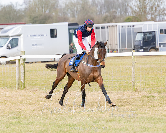 Race 2 - Restricted  (12 of 184)