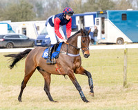 Race 2 - Restricted  (14 of 184)
