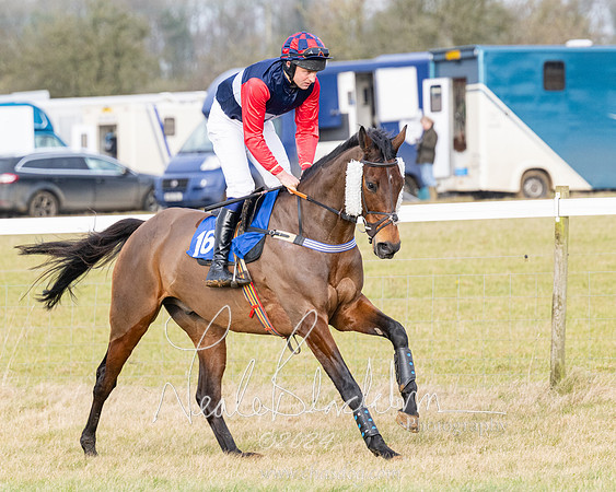 Race 2 - Restricted  (14 of 184)