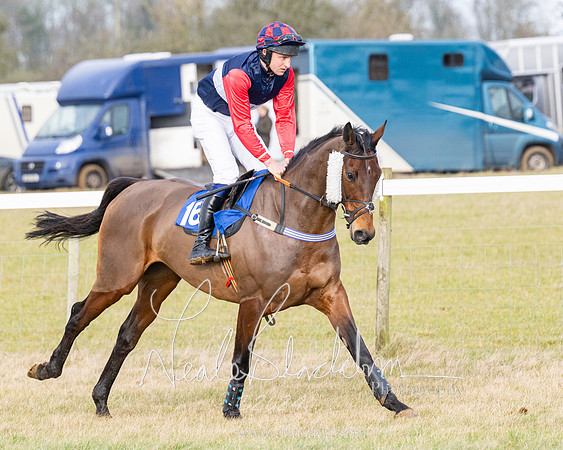 Race 2 - Restricted  (16 of 184)