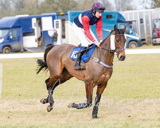 Race 2 - Restricted  (17 of 184)