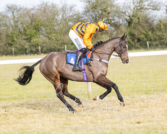 Race 2 - Restricted  (18 of 184)