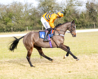 Race 2 - Restricted  (19 of 184)