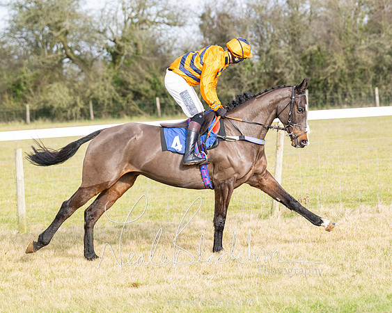 Race 2 - Restricted  (22 of 184)