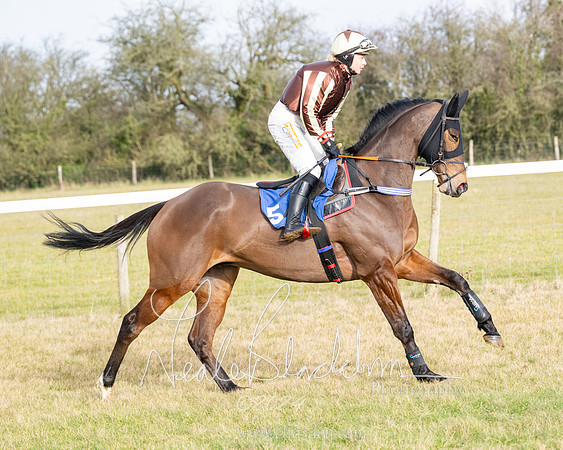 Race 2 - Restricted  (24 of 184)