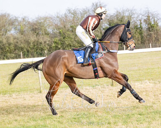 Race 2 - Restricted  (27 of 184)