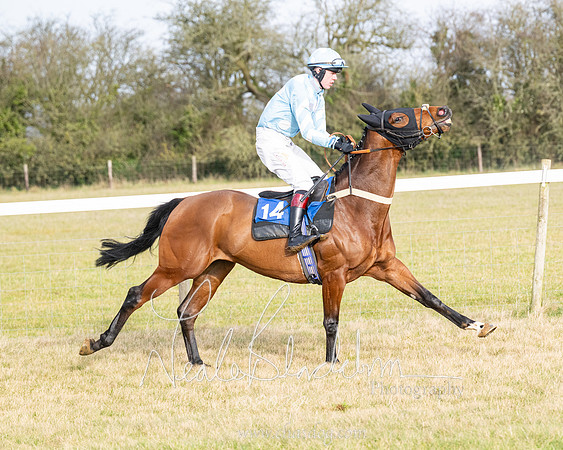 Race 2 - Restricted  (32 of 184)