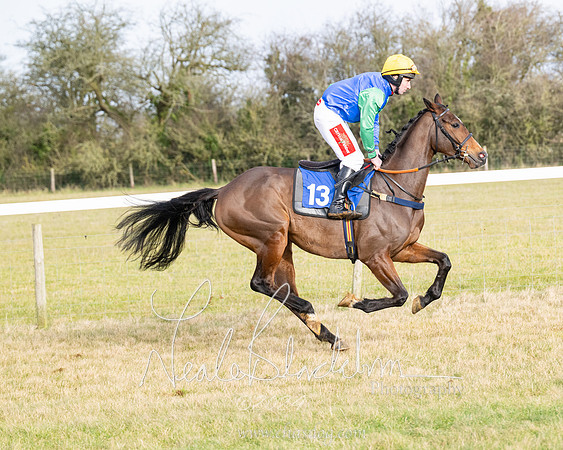 Race 2 - Restricted  (36 of 184)