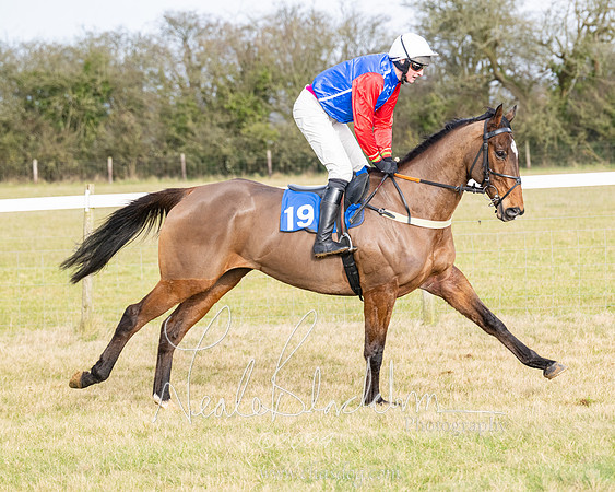 Race 2 - Restricted  (41 of 184)