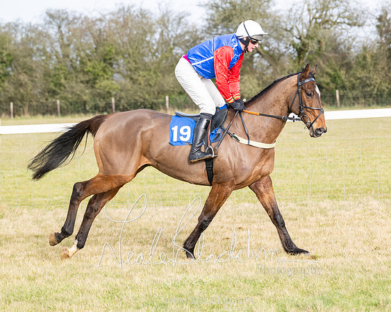 Race 2 - Restricted  (42 of 184)