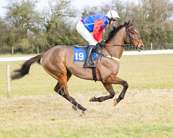 Race 2 - Restricted  (43 of 184)