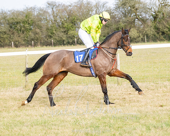 Race 2 - Restricted  (46 of 184)