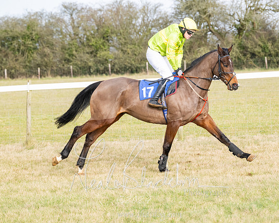 Race 2 - Restricted  (47 of 184)