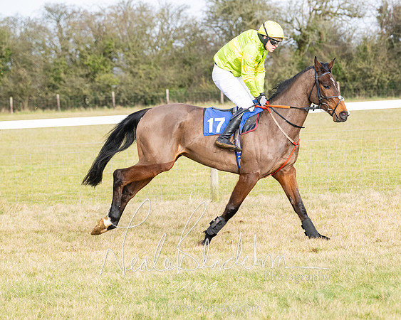 Race 2 - Restricted  (48 of 184)