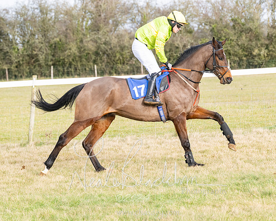 Race 2 - Restricted  (51 of 184)