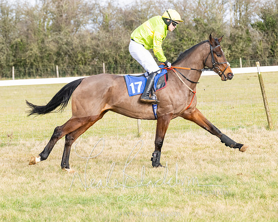 Race 2 - Restricted  (52 of 184)