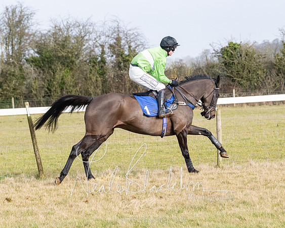 Race 2 - Restricted  (60 of 184)