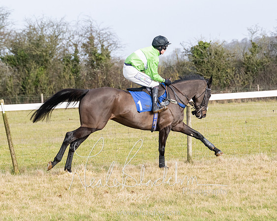 Race 2 - Restricted  (61 of 184)