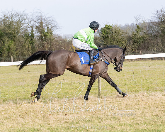 Race 2 - Restricted  (62 of 184)