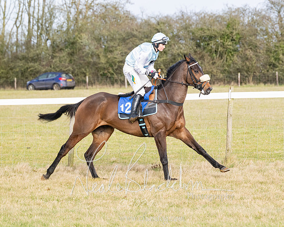 Race 2 - Restricted  (63 of 184)