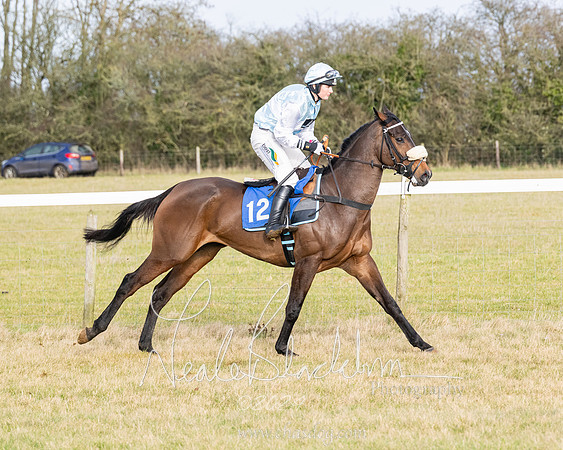 Race 2 - Restricted  (64 of 184)