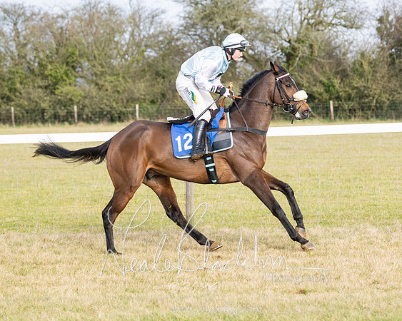 Race 2 - Restricted  (65 of 184)