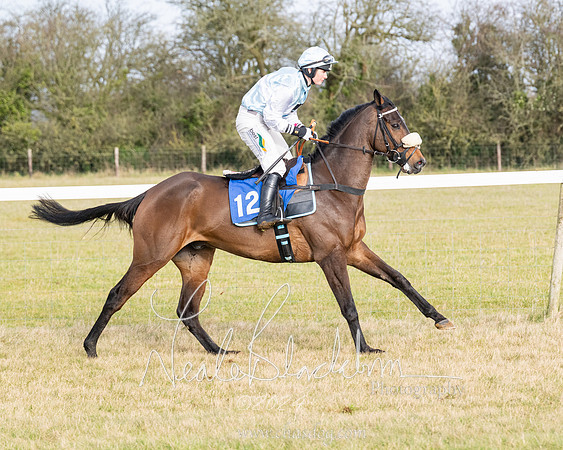Race 2 - Restricted  (66 of 184)