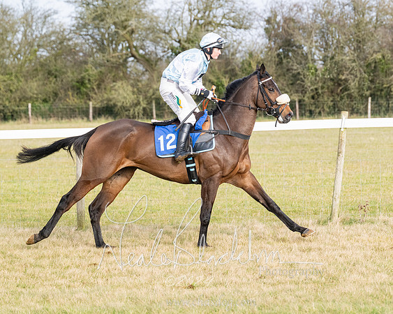 Race 2 - Restricted  (67 of 184)