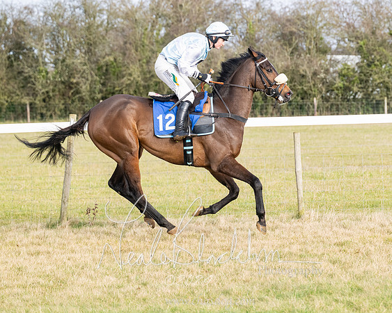 Race 2 - Restricted  (68 of 184)