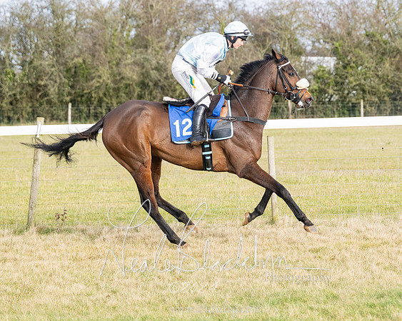 Race 2 - Restricted  (69 of 184)