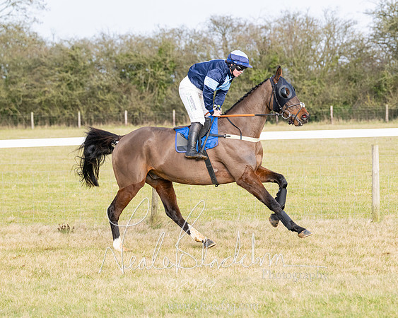 Race 2 - Restricted  (70 of 184)