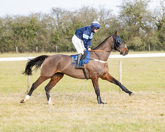 Race 2 - Restricted  (72 of 184)