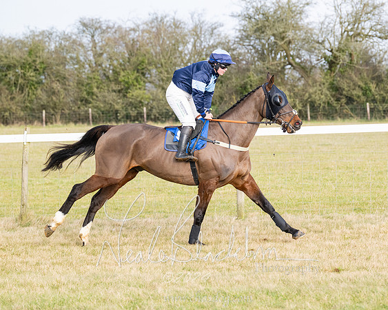 Race 2 - Restricted  (73 of 184)