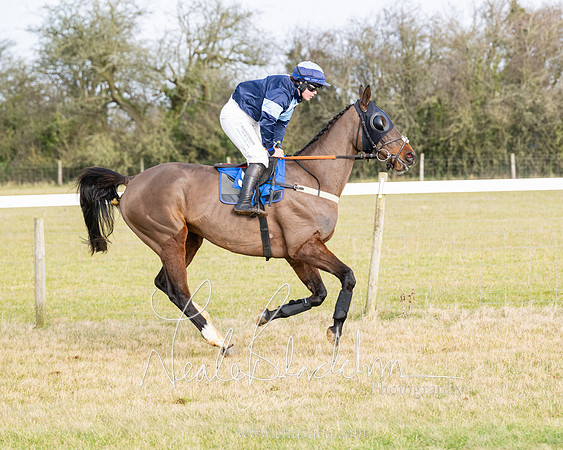 Race 2 - Restricted  (74 of 184)