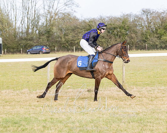 Race 2 - Restricted  (76 of 184)