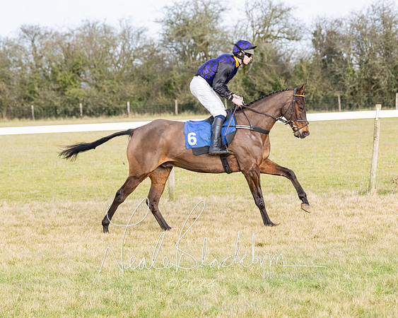 Race 2 - Restricted  (77 of 184)